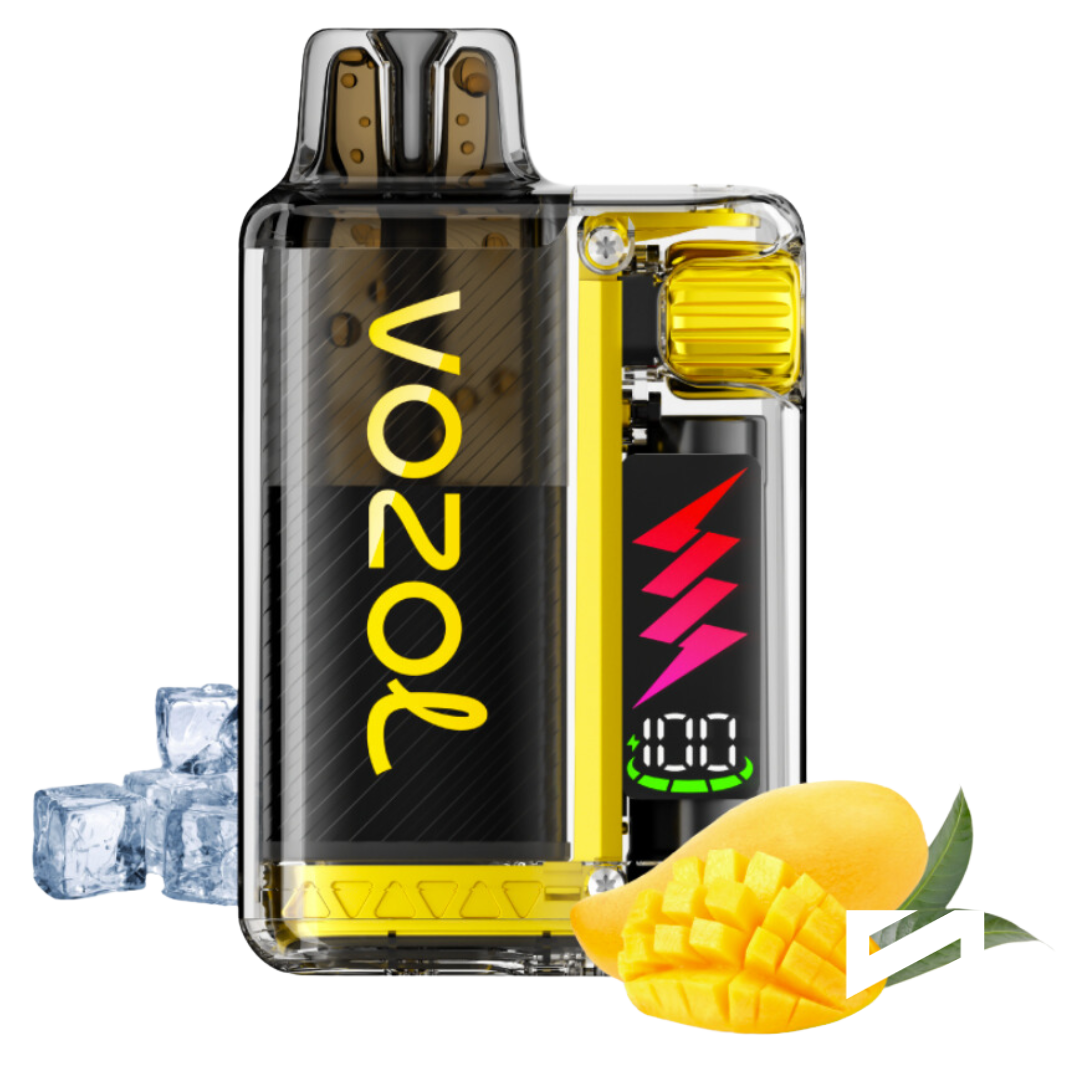 VOZOL Vista Plug Kit 10000 Mango Ice