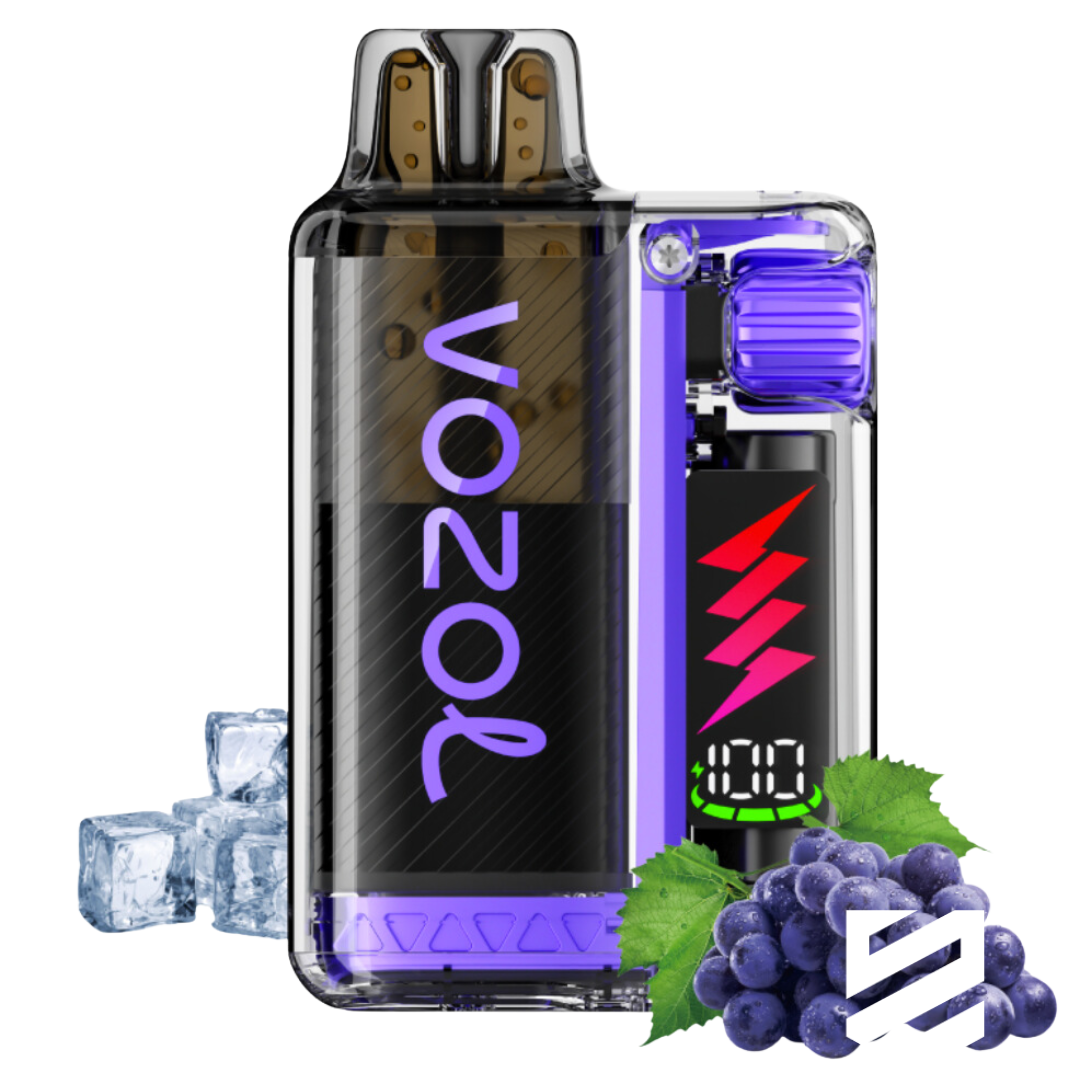 VOZOL Vista Plug Kit 10000 Grape Ice