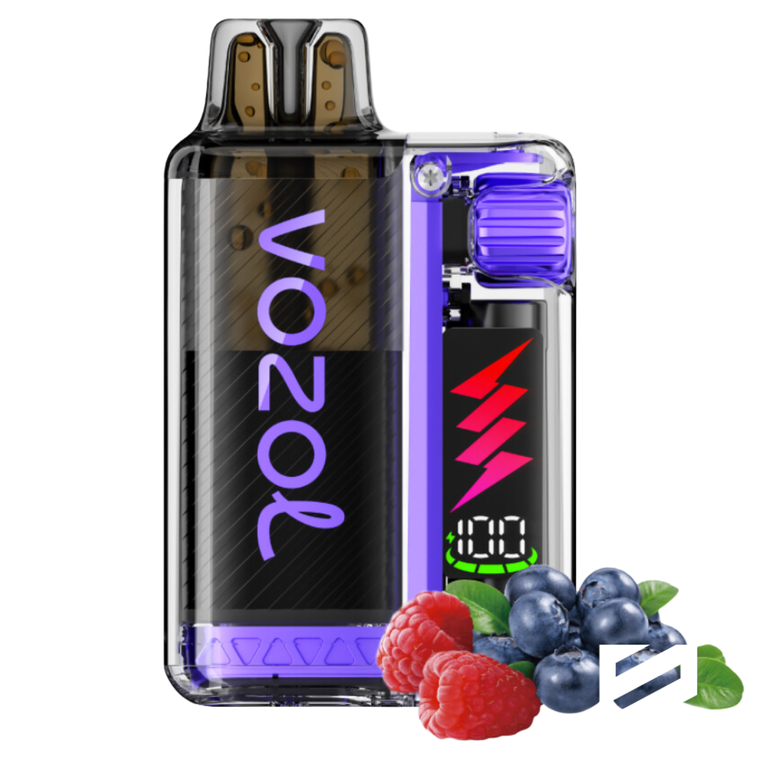 VOZOL Vista Plug Kit 10000 Blueberry Sour Raspberry